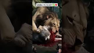 SIMBA VS SCARY✅❤️ shorts ai lion simba viral animals [upl. by Renmus]