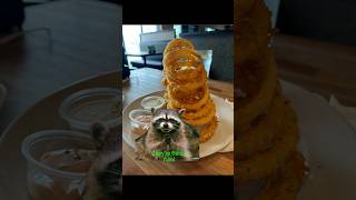 They’re Back The famous onion rings at Cheddar’s Scratch Kitchen onionrings [upl. by Gamages]