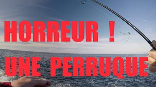 Comment démêler une perruque sur la tresse [upl. by Amrak]