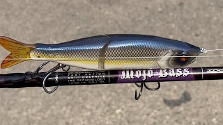 St Croix Mojo Bass Long Term Review  Still Worth It [upl. by Aprilette438]