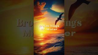 Mr Mister  Broken Wings Lyrics  MrMister BrokenWings Lyrics Music LyricVideo [upl. by Ellan181]