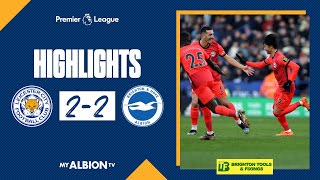 PL Highlights Leicester 2 Albion 2 [upl. by Imim923]