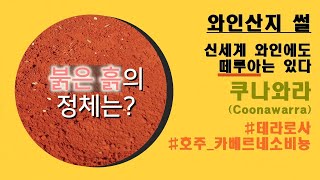 호주 와인의 떼루아 테라로사가 특징적인 카베르네 소비뇽 유명 산지 쿠나와라Coonawarra [upl. by Stodder90]