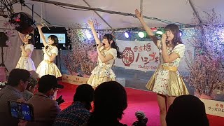 2024330 MilkShake LIVE 春吉橋ハシゴ横丁LIVE 山本ななみちゃん 福岡LASTLIVE [upl. by Zamora865]