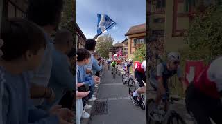 Mondiali ciclismo Zurigo 2024 pogacar mindiali zürich cycling [upl. by Abie808]