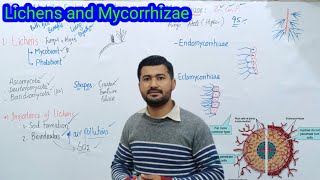 82 Lichens and Mycorrhizae  Endomycorrhizae and Ectomycorrhizae Fsc biology class 11 [upl. by Olivia]