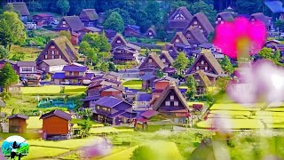 Shirakawago the BEST ancient village in Japan🤩shirakawago Gifu Ken Japantravelwithme [upl. by Solrak]