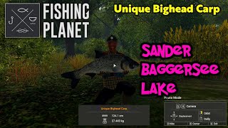 Unique Bighead Carp Sander Baggersee Lake  Fishing Planet [upl. by Nbi]