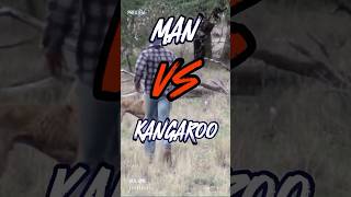 What Happens When a MAN Faces Off Against a Kangaroo [upl. by Dibrin695]