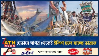 যেভাবে সাগর থেকেই ইলিশ চলে যাচ্ছে ভারতে  Hilsha  India  Bay of Bengal  ATN News [upl. by Brittan]