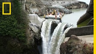 After Largest Dam Removal in US History This River Is Thriving  National Geographic [upl. by Bonns895]