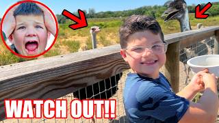 WATCH OUT CALEB Family Fun Trip to OSTRICH LAND USA with Fun and Crazy Family Vacation Vlog [upl. by Ellemrac]