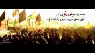 آه حسرت  اربعین سیدالشهدا  میثم مطیعی [upl. by Acyssej]