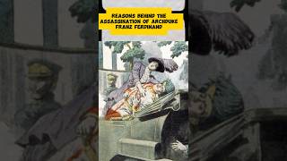 Reasons behind the assassination of Archduke Franz Ferdinand [upl. by Maurilla639]