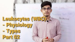 Physiology of Leukocytes  types of white blood cells  Part 2 [upl. by Ahsial]