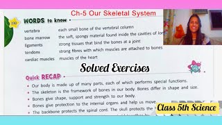 Ch5 Our Skeletal System Solved Exercises  Class 5th Science [upl. by Hamnet980]