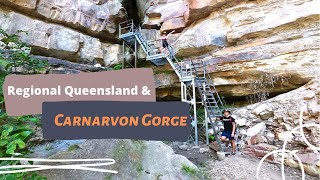 Regional Queensland Road Trip  Exploring Carnarvon Gorge [upl. by Lona]