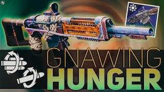 XUR Has The Gnawing Hunger At Last 3 Corking Exotics How To Start The Dungeon New Trials Mode [upl. by Faythe]