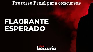 Flagrante esperado ou intervenção predisposta da autoridade policial [upl. by Rahs849]