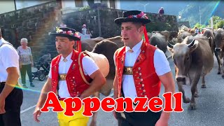 Appenzell Switzerland  Cow Parade Alpine Festival Swiss Alps 🇨🇭 [upl. by Ofelia]