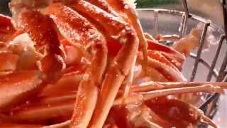 Red Lobster  Crabfest HD 2015 [upl. by Roybn]