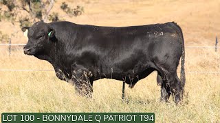 Lot 100 Bonnydale Q T94 [upl. by Connell]