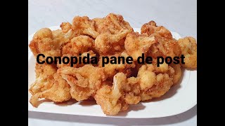 Conopida pane de post [upl. by Enamrahc]