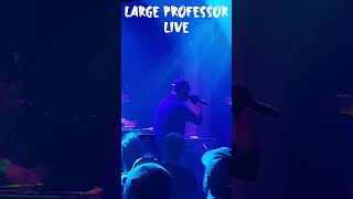 Large Professor Live largeprofessor hiphop jazzcafe [upl. by Atires977]