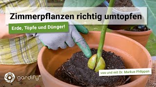 Zimmerpflanzen richtig umtopfen mit Tipps zu Pflanztöpfen Dünger und Erde  gardify Tipps [upl. by Eenolem865]