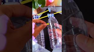 Lets make a project  recycling of bottles  shorts youtubeshorts diy craft [upl. by Shanda]