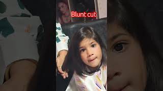 quotBlunt Haircut Tutorial  StepbyStep Guide for Perfect Precision Cutsquot [upl. by Anonyw498]