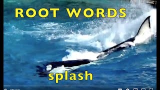 ROOT WORDS  BASE WORDS  Grammar Lesson for KIDS  ENGLISH EDUCATION VOCABULARY  1st  3rd [upl. by Enidaj]