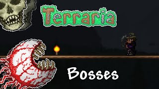 Terraria 14  The Guide to ALL Bosses [upl. by Rudd49]