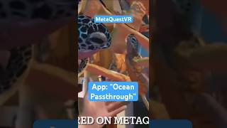 Playing Meta Quest VR App  Ocean Passthrough [upl. by Enoitna]