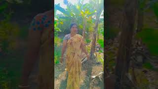 Durchya रानात केळीच्या बनत viral short song marathi love music minivloger trending trending [upl. by Okihcas]