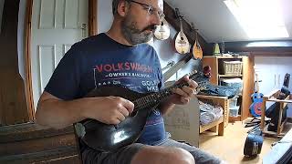 Galopede country dancepolka on mandolins [upl. by Ayek304]