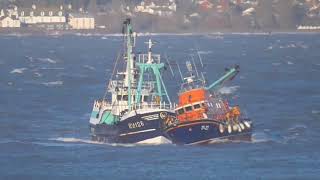 Torbay ALB Shout 2 of 2018 07012018 Holly Anne [upl. by Sherburn]