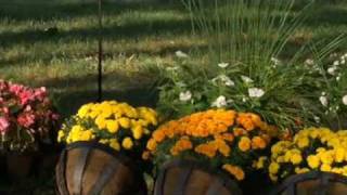 How To Decorate A Patio  AvantGardenDecorcom [upl. by Pages]