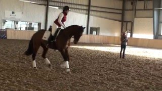 Ingrid Klimke Clinic 2015 Canter Work [upl. by Buschi]