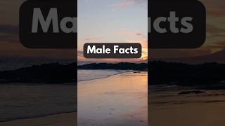 Facts About Men  Girls Take Notes shorts psychologyfacts subscribe trending mensday Mens Day [upl. by Vardon786]