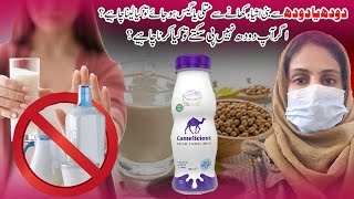 اگرآپ دودھ کی الرجی کا شکار ہیں تواسکامتبادل کیا لیں Milk intolerancemilk digestion main problem [upl. by Aihsrop]