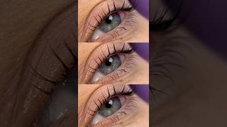 Lash Lift amp Tint lushlash lashliftandtint lashlifting lashliftessex lashlifttutorial [upl. by Ursala]