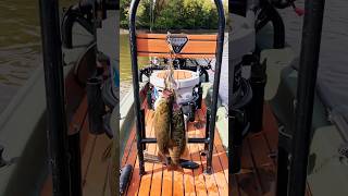 3 Smallmouth Bass  Blessed fishing smallmouthbass tinyboatnation [upl. by Uok]