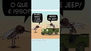 AEDES DE JEEP [upl. by Nylemaj]