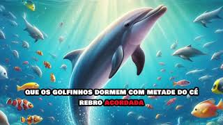 O sono dos Golfinhos [upl. by Waldack]