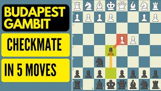 Budapest Gambit  Checkmate in 5 moves [upl. by Cates]