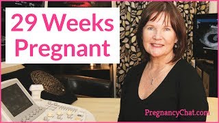 quot29 Weeks Pregnantquot by PregnancyChatcom PregChat [upl. by Letnahs519]