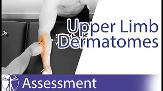 Dermatomes Upper Limb  Peripheral Neurological Examination [upl. by Whitby]