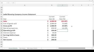 Common Size Analysis  Income Statement [upl. by Hance131]