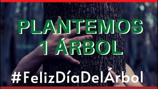 LA IMPORTANCIA DE LOS ÁRBOLES El Día del Árbol FelizDíaDelÁrbol [upl. by Gib]